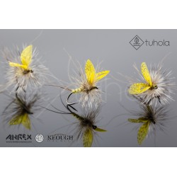 Wallywing Mayfly – Yellow